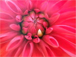 dscf8687