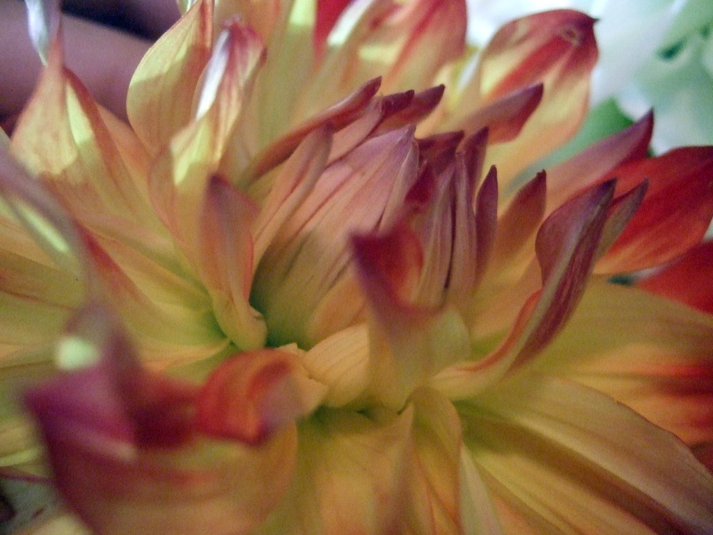 dscf8688