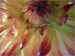 dscf8690