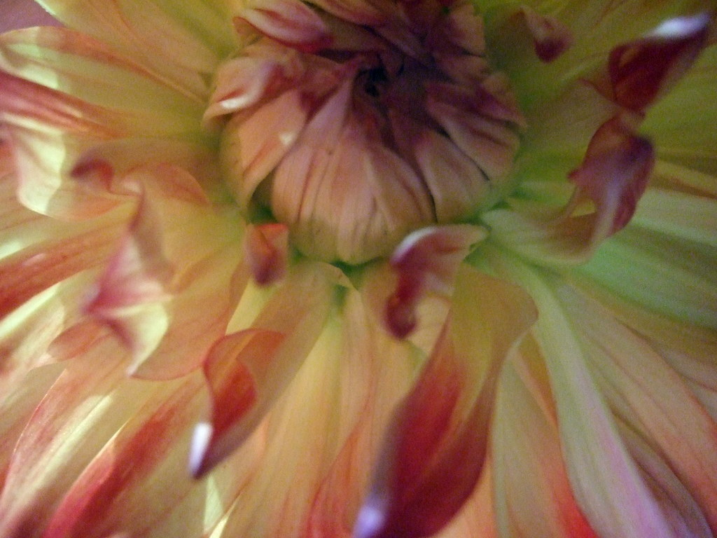 dscf8690
