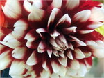 dscf8692