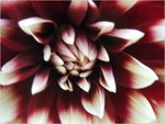 dscf8693