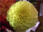 dscf8701