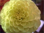 dscf8703