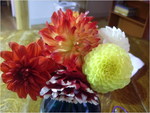 dscf8704