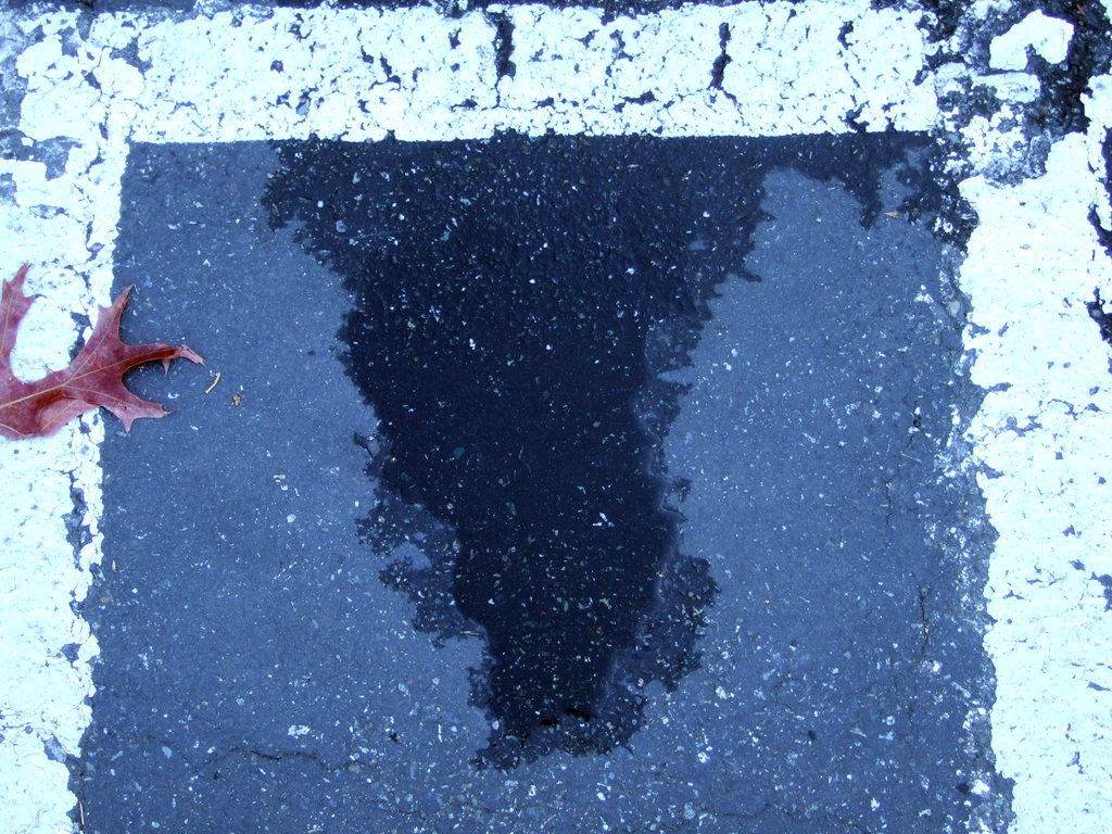 dscf8776