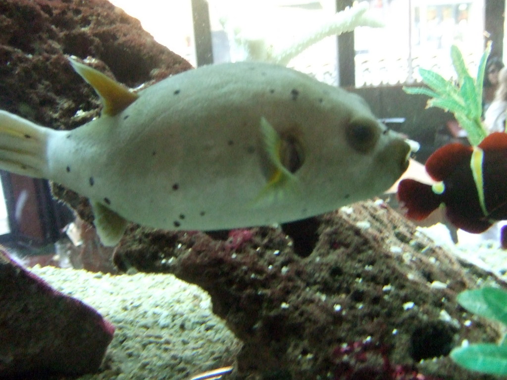 dscf8819