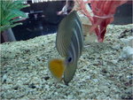 dscf8822