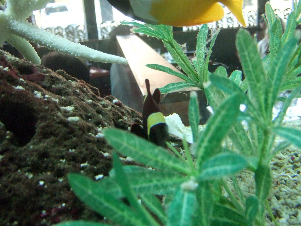dscf8823