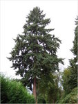 dscf8861