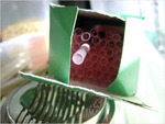 dscf9332
