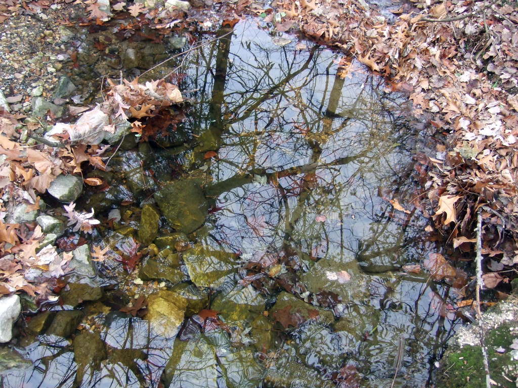 dscf9397