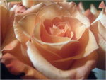 dscf9822