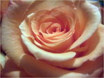 dscf9825