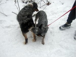 dscf0017