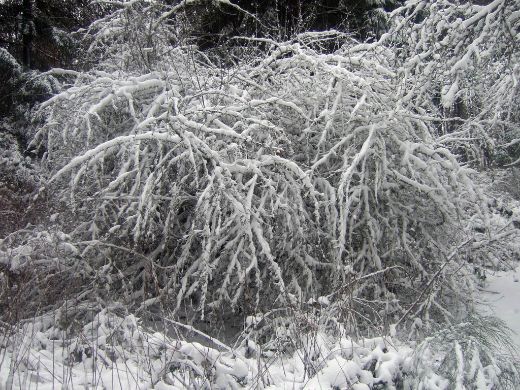 dscf0034