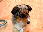 p1000322