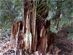 p1000714