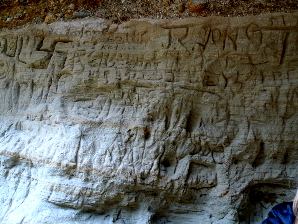 p1000737