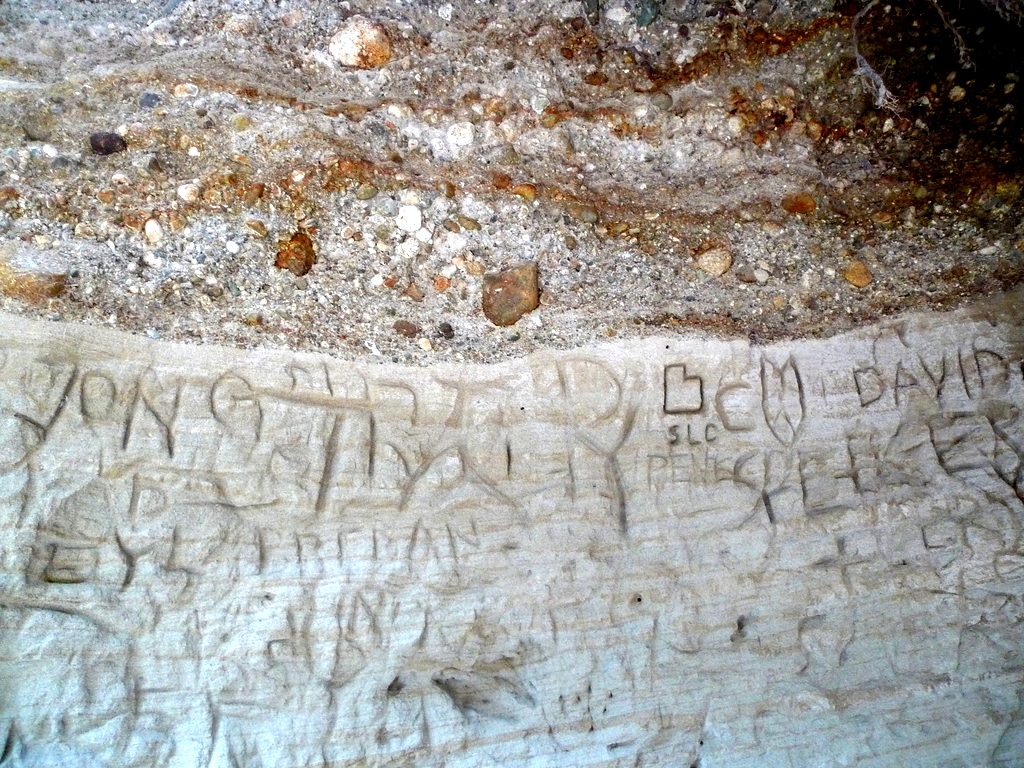 p1000738