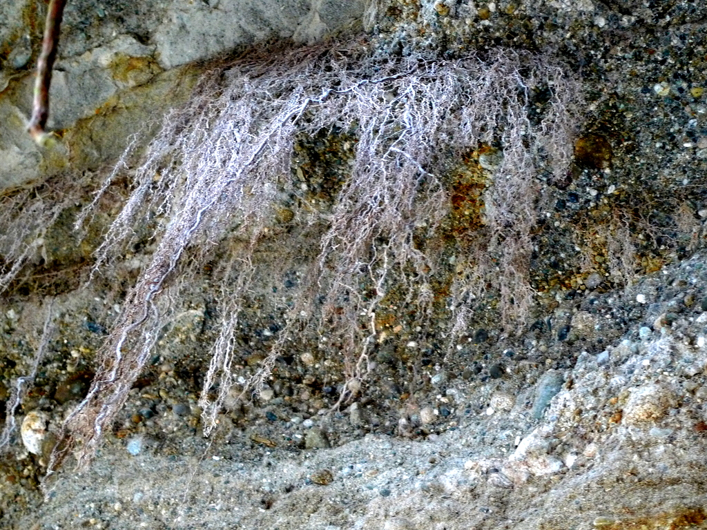 p1000744