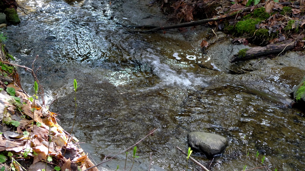 p1000786