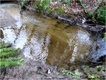 p1000789
