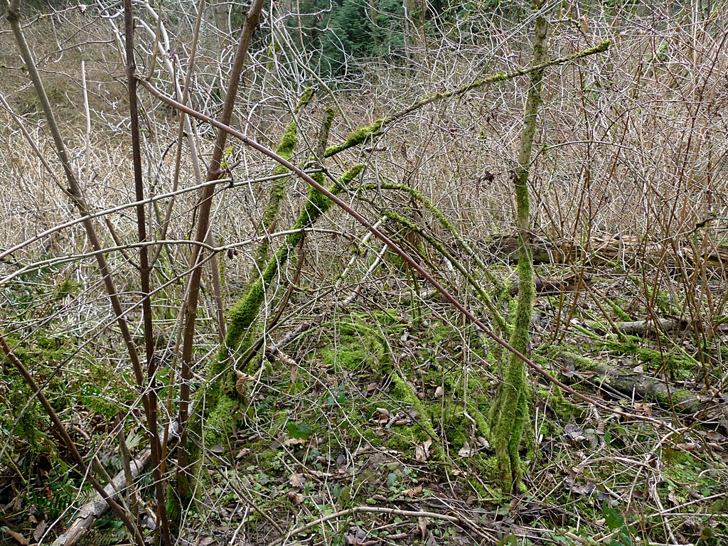 p1000804u
