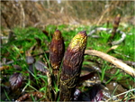 p1010058