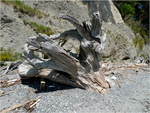 p1010349