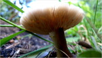 p1010405