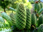 p1010442