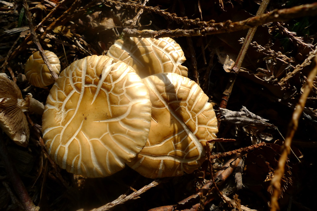 p1010469