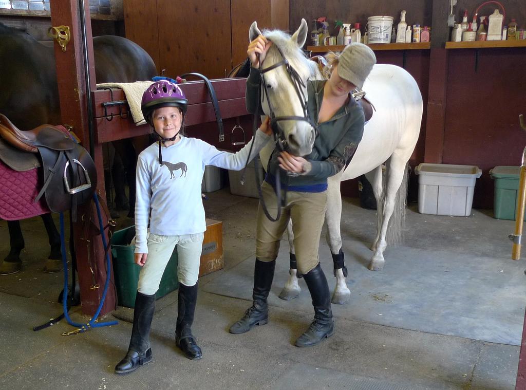 p1010891l