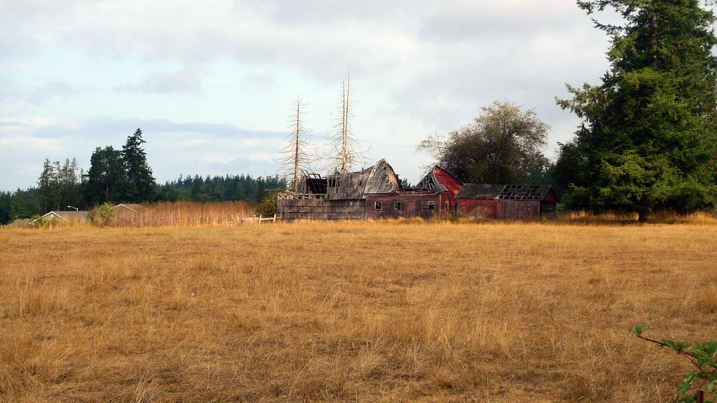 p1020217l
