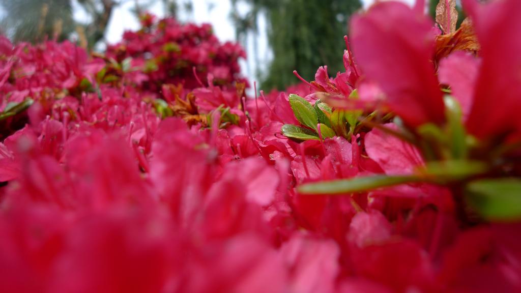 p1030773