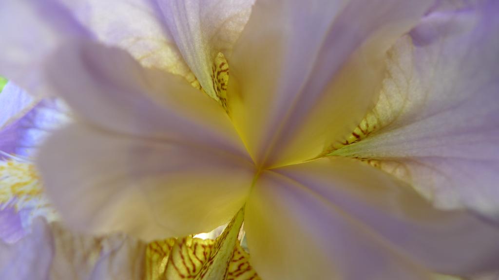 p1030996
