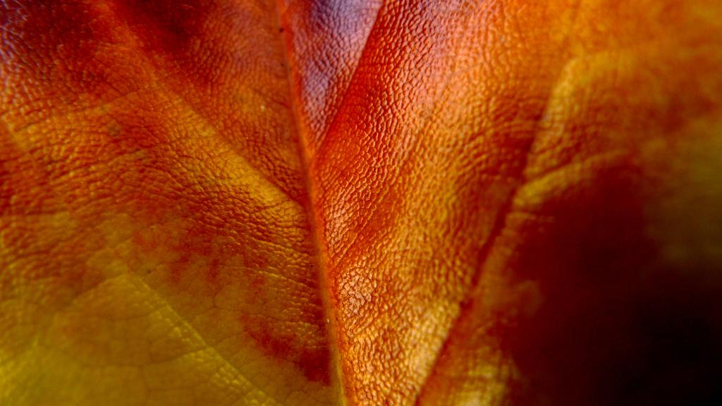 p1040608l