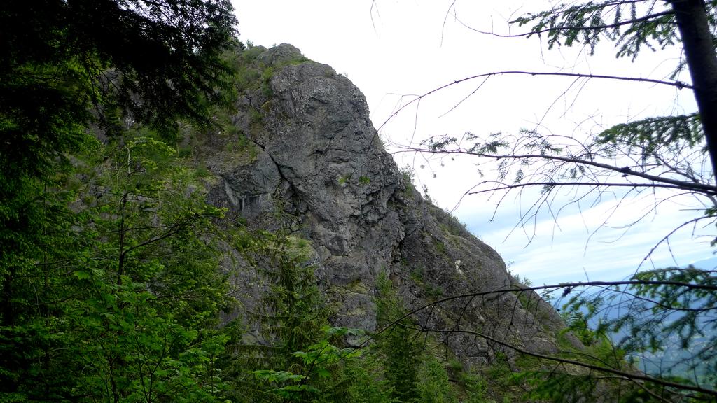 p1040701l