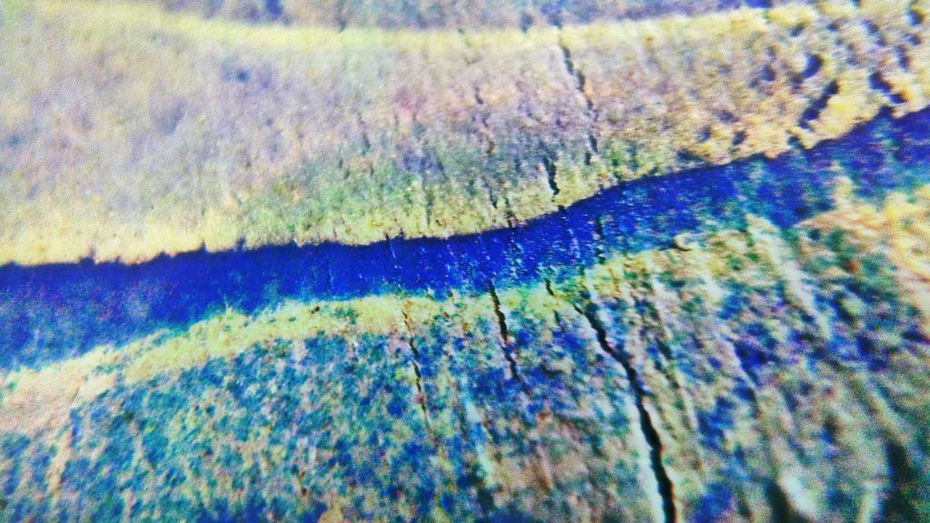 p1040848rtxo100