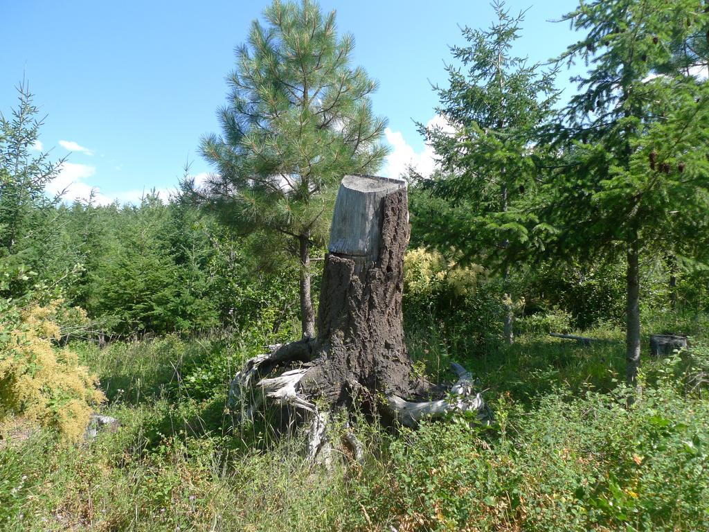 p1050178