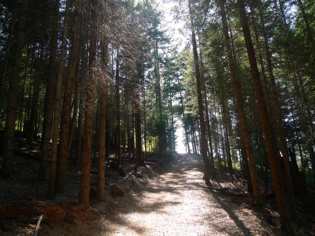 p1050179