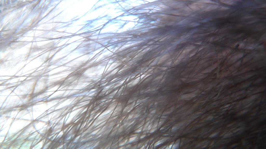 p1050411