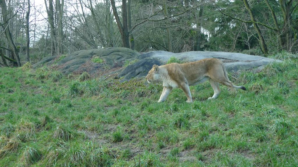 p1060329