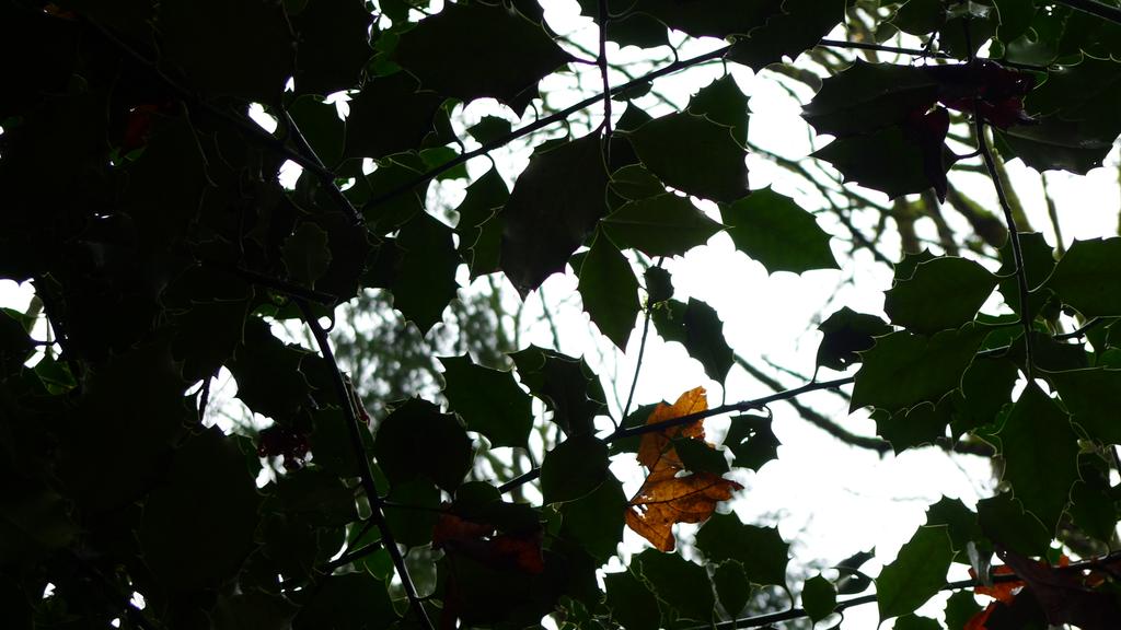 p1060514