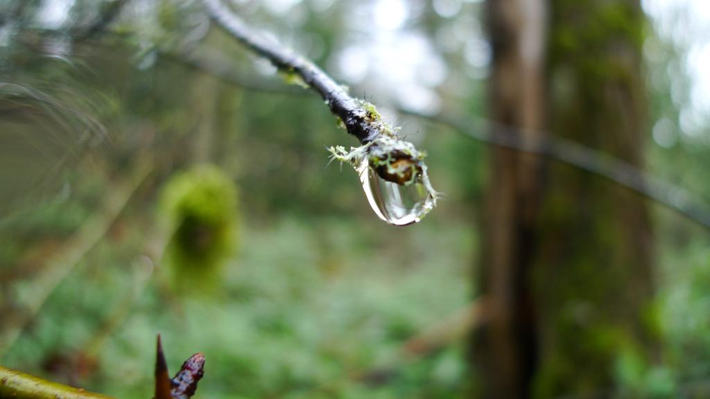p1060526