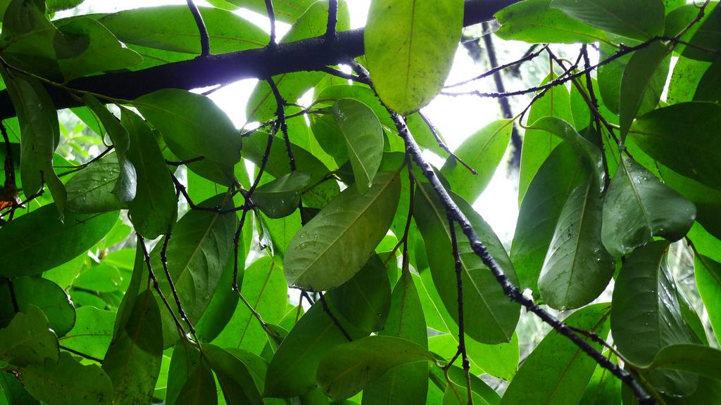 p1060540