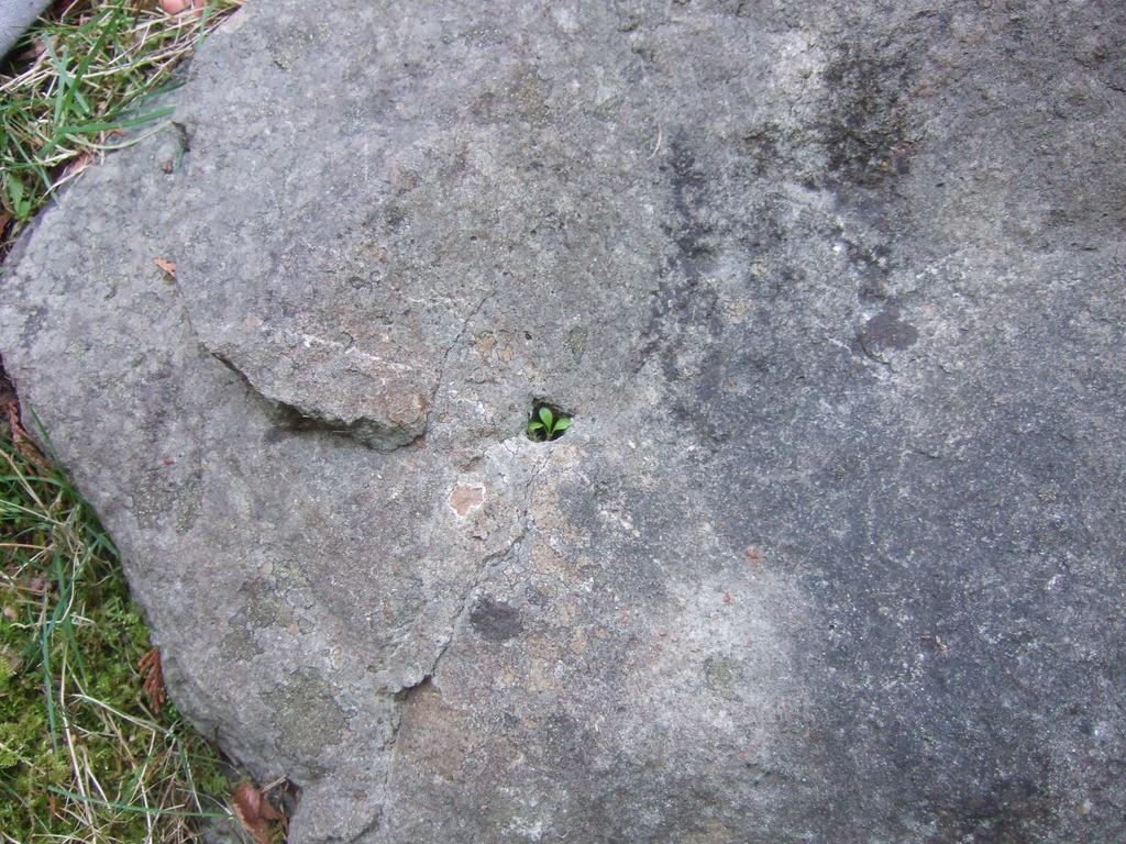 dscf0435