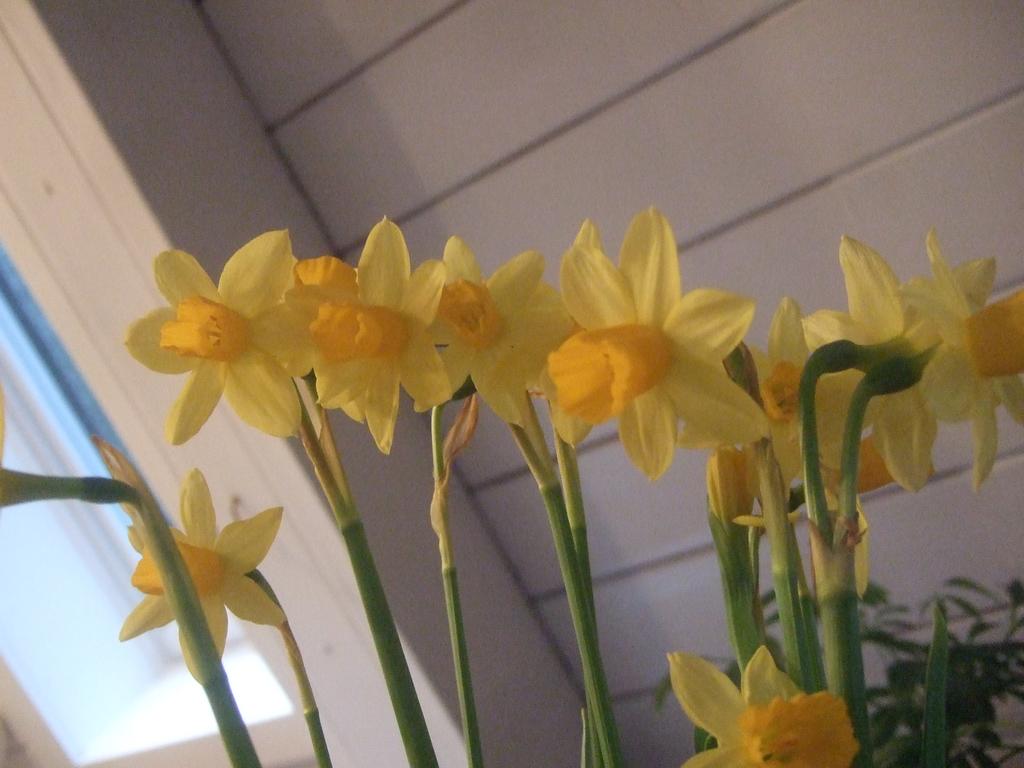 dscf0557