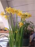 dscf0558